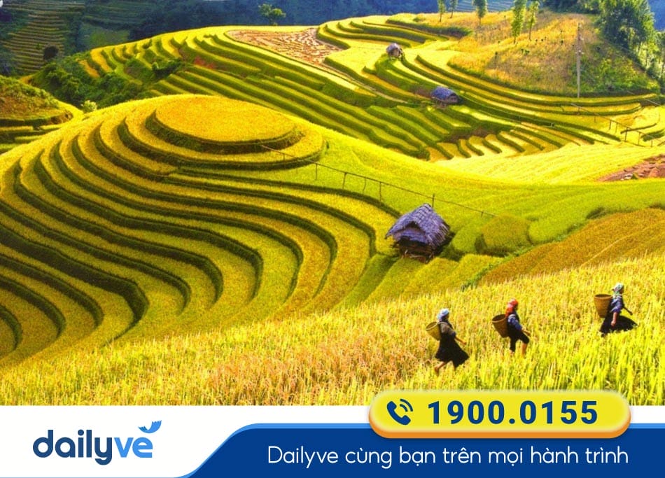 Cánh đồng Mường Thanh Điện Biên - Vùng đất anh hùng của miền Tây Bắc