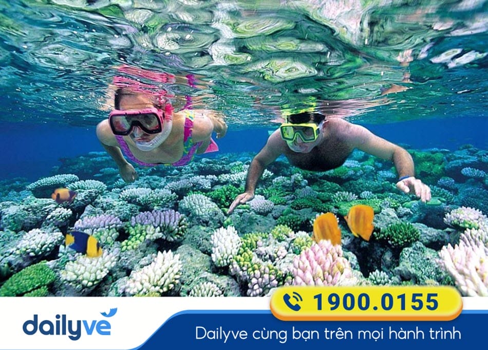 Hoạt động lặn ngắm san hô ở Côn Đảo