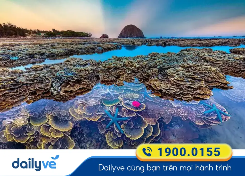 Hòn Yến - Cảnh sắc rực rỡ từ Đại dương xanh