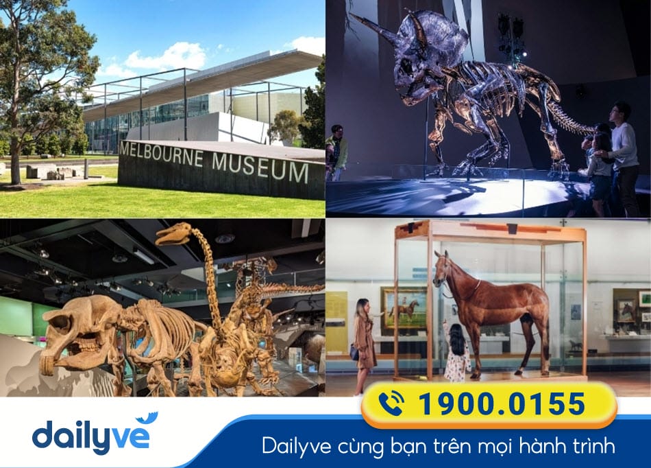 Khu trưng bày khủng long hóa thạch tại Melbourne Museum